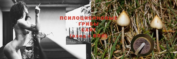 меф Бородино