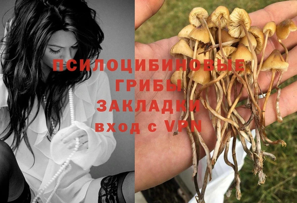 меф Бородино